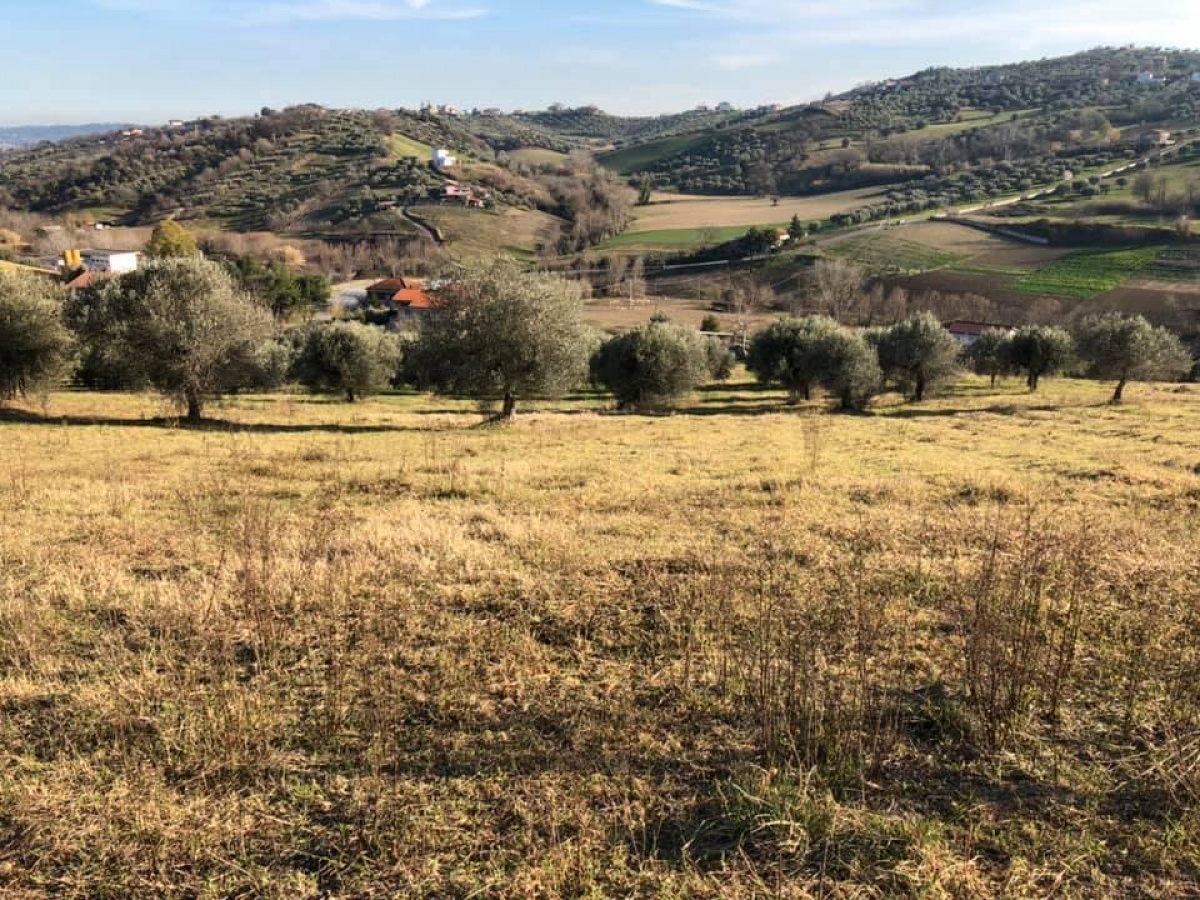 Montesilvano, ,Terreno,In Vendita,1161