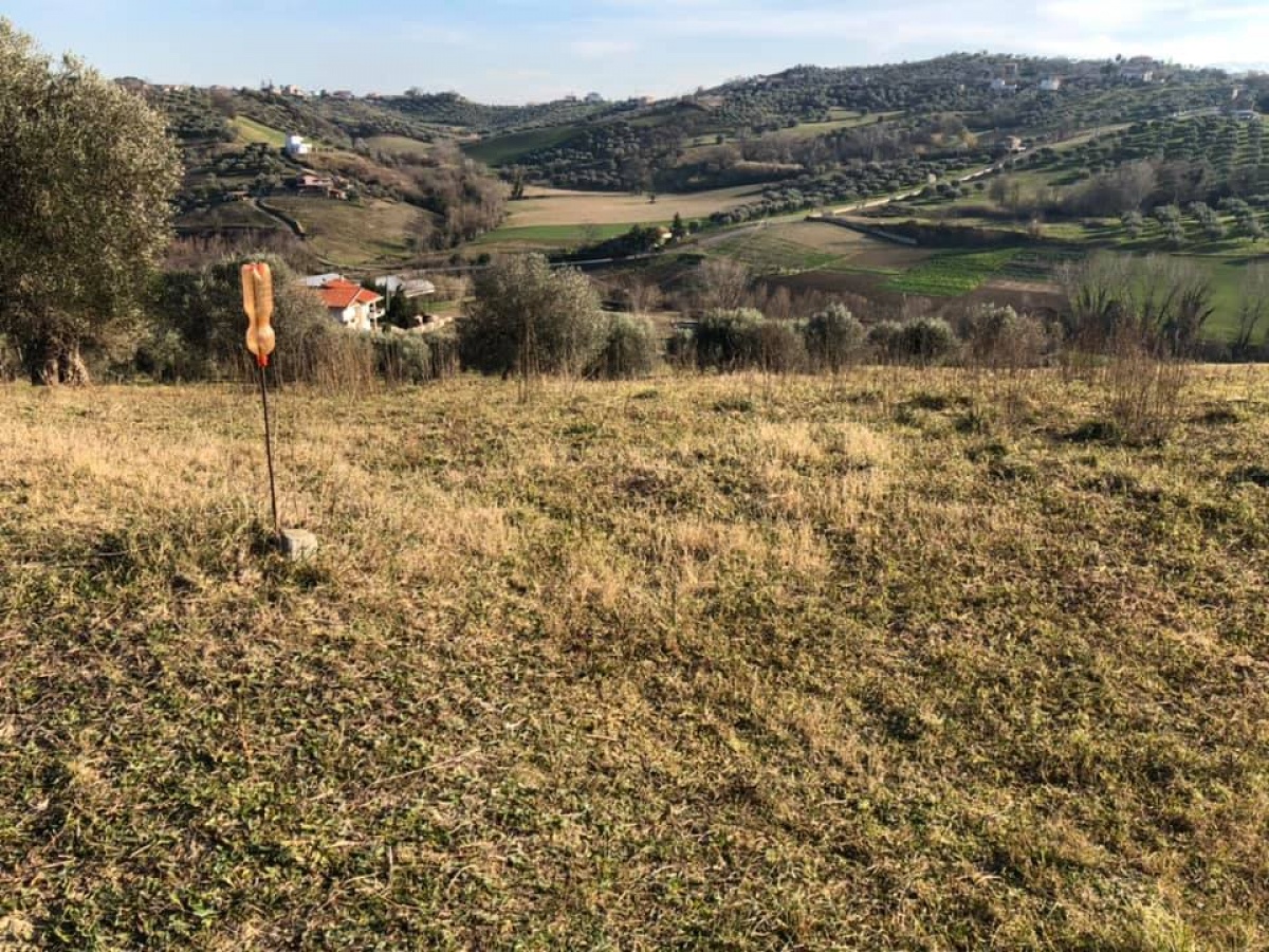 Montesilvano, ,Terreno,In Vendita,1161