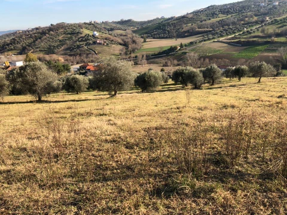 Montesilvano, ,Terreno,In Vendita,1161