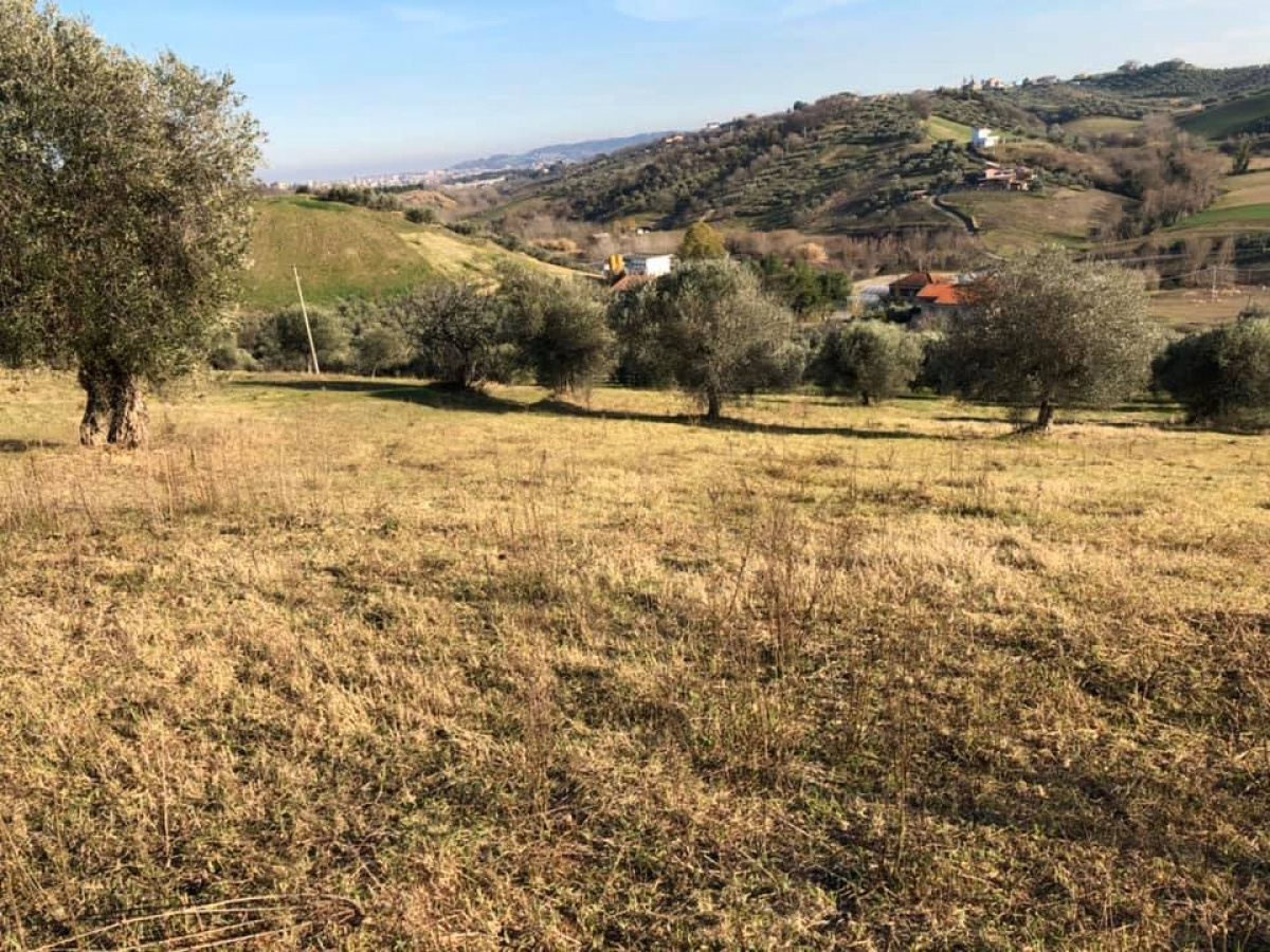 Montesilvano, ,Terreno,In Vendita,1161