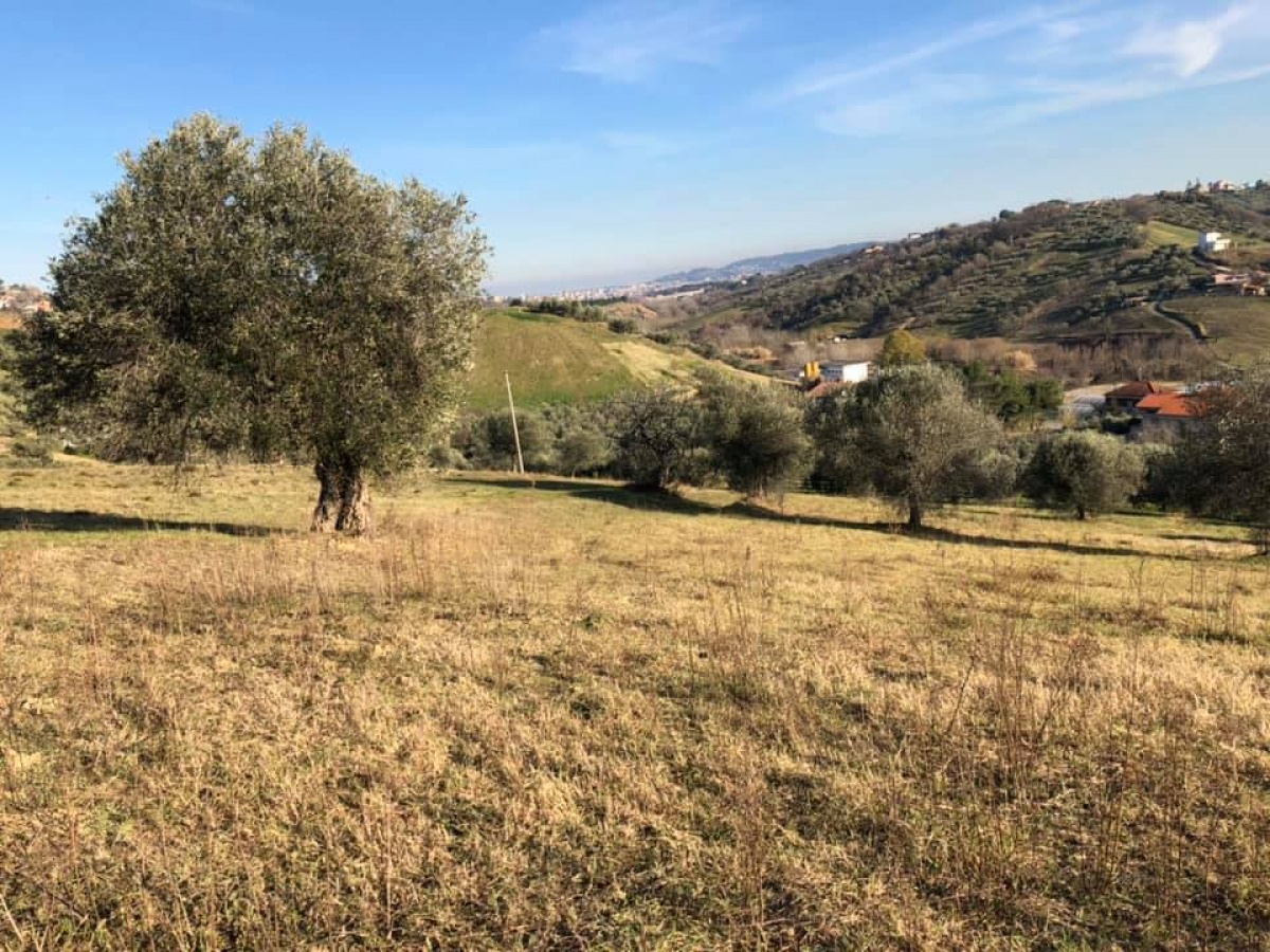 Montesilvano, ,Terreno,In Vendita,1161