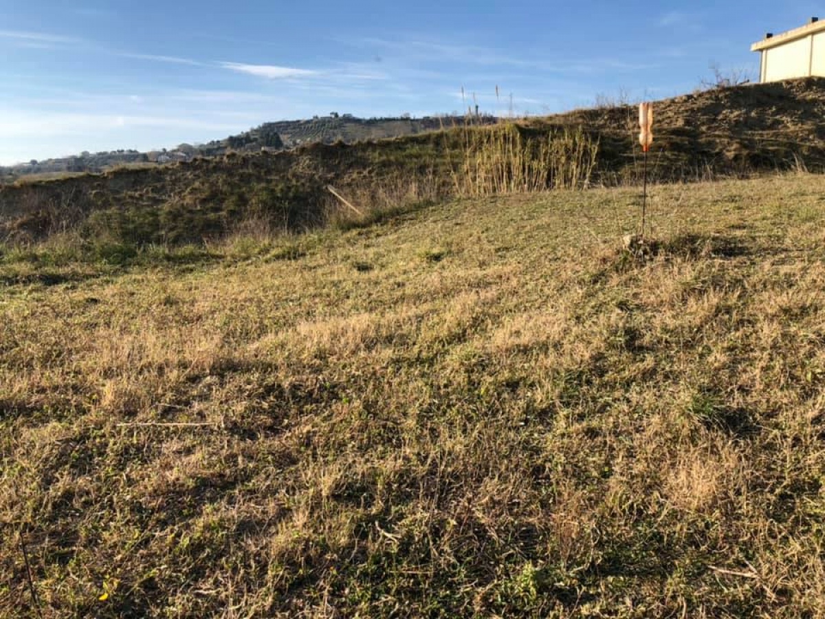 Montesilvano, ,Terreno,In Vendita,1161
