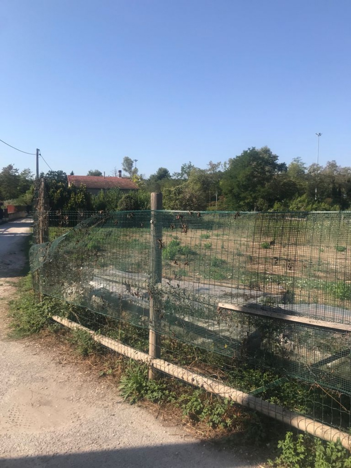 Terreno,In Vendita,1255