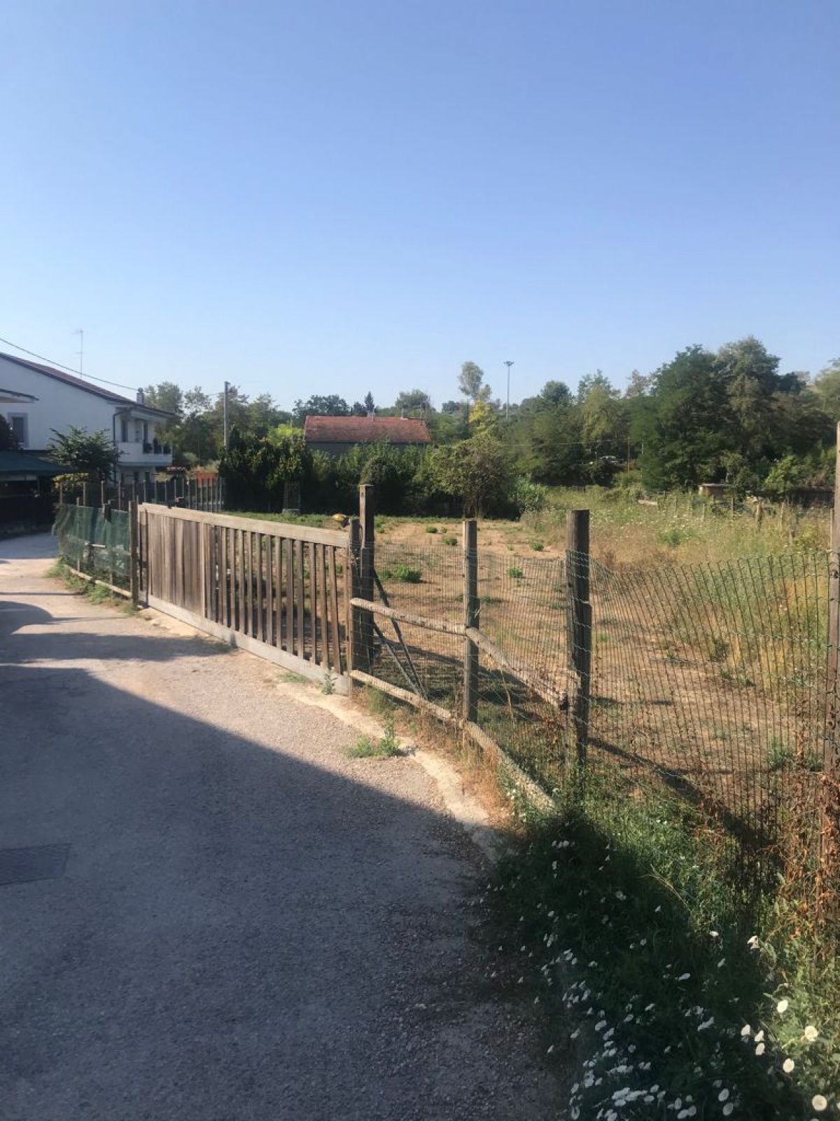 Terreno,In Vendita,1255