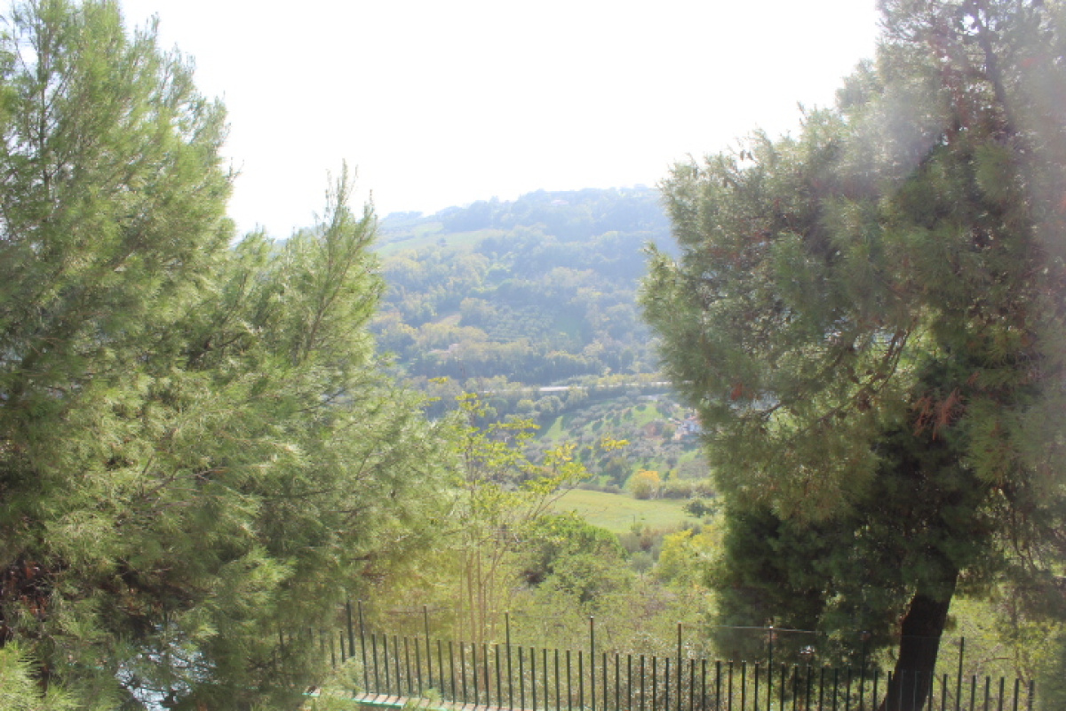 Terreno,In Vendita,1498
