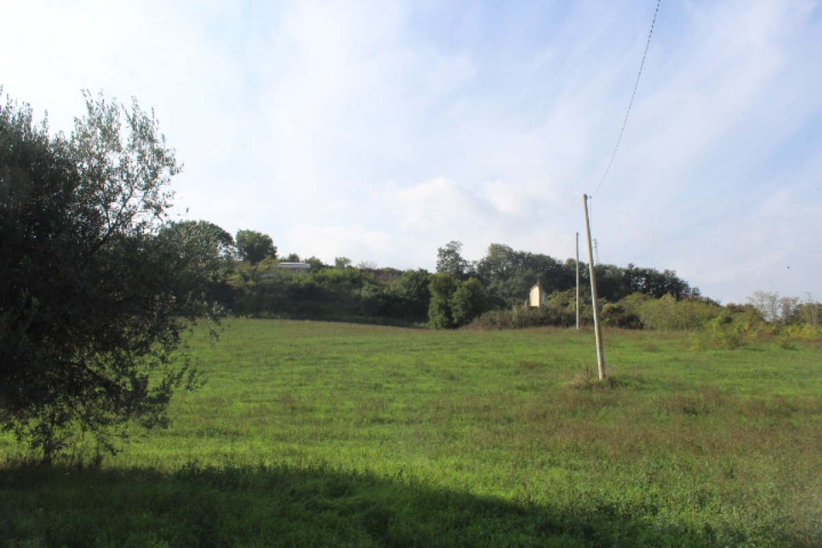Terreno,In Vendita,1498