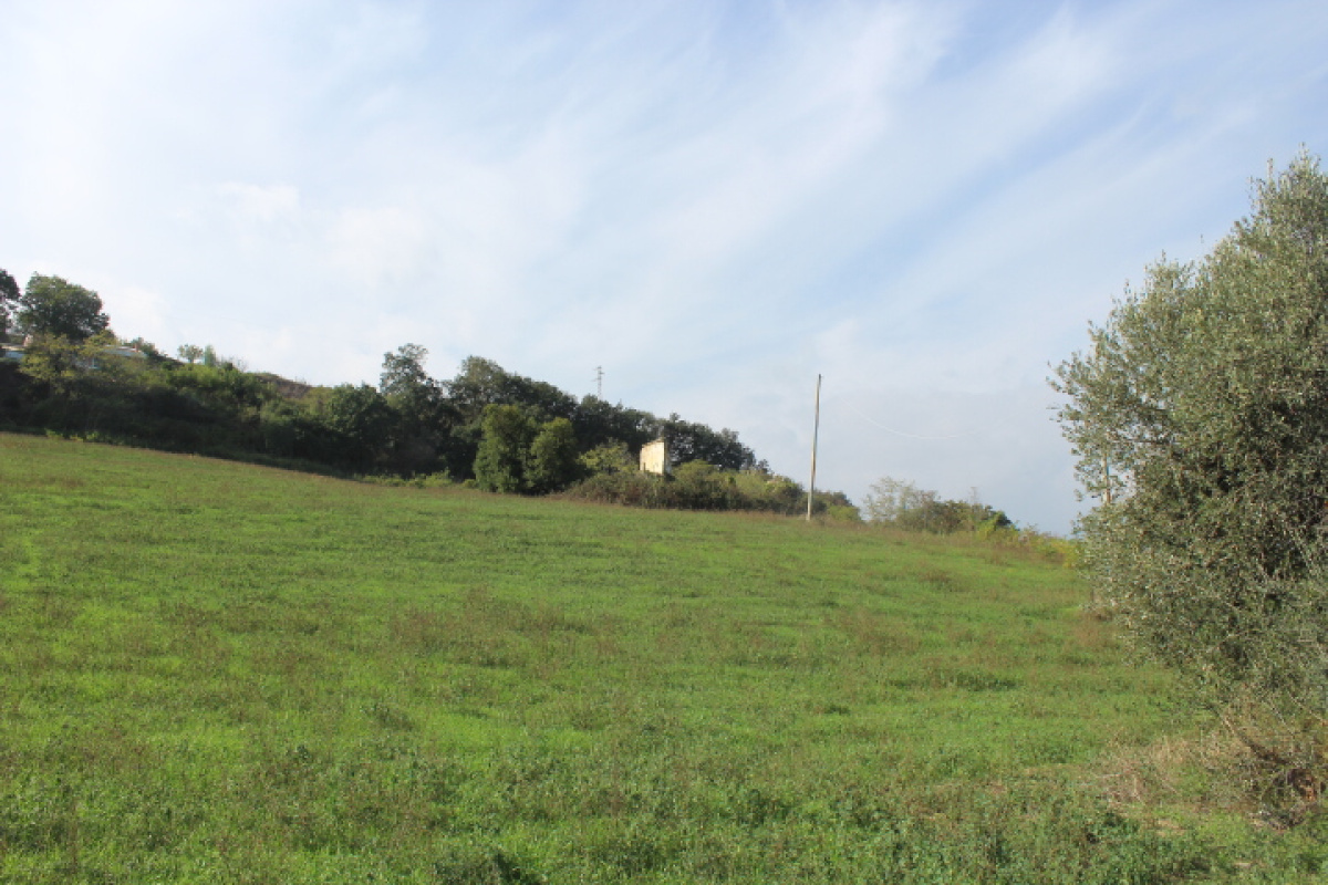 Terreno,In Vendita,1498