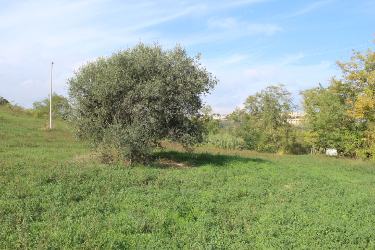 Terreno,In Vendita,1498