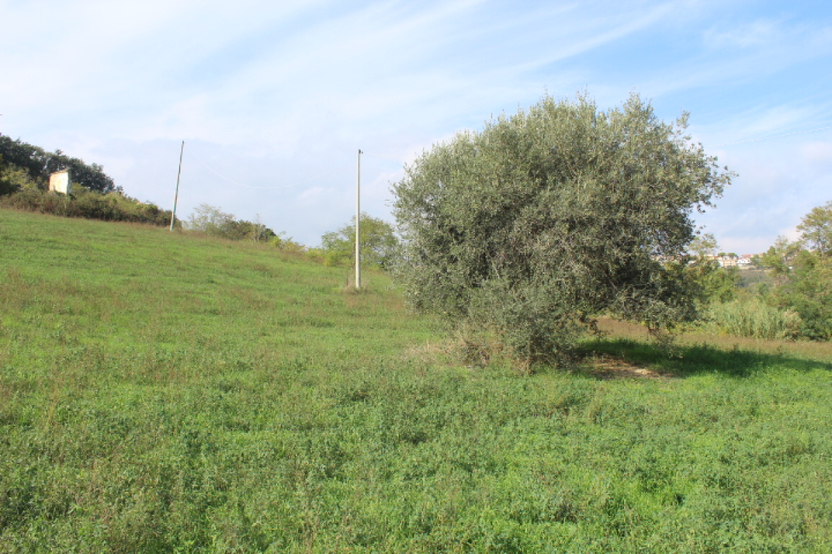 Terreno,In Vendita,1498
