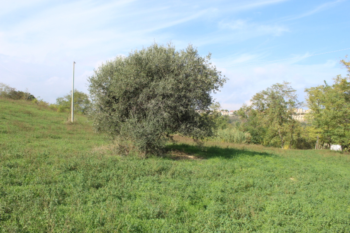 Terreno,In Vendita,1498