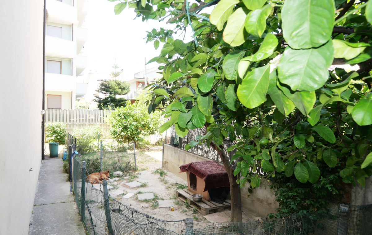 3 Stanze da Letto Stanze da Letto, ,2 BathroomsBathrooms,Appartamento - attici - mansarde,In Vendita,1501