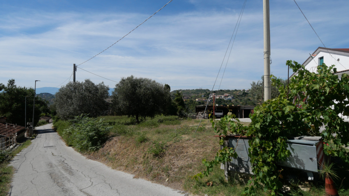 Terreno,In Vendita,1535