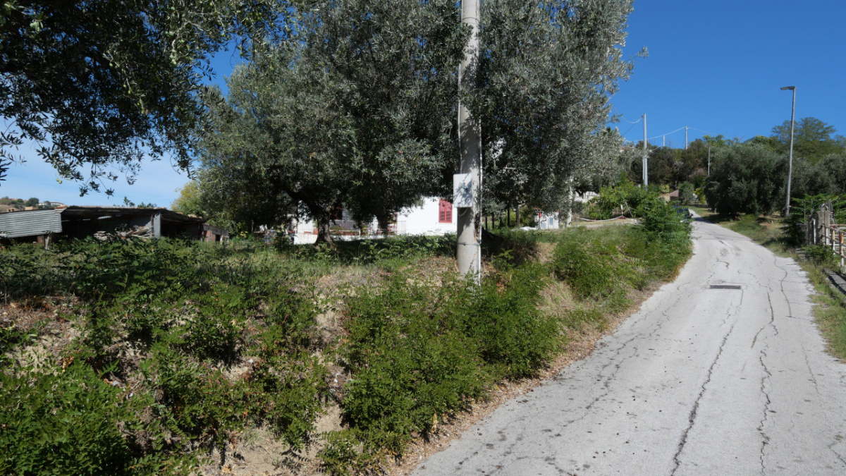 Terreno,In Vendita,1535