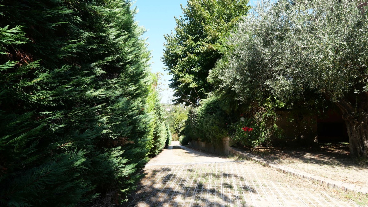 6 Stanze da Letto Stanze da Letto, ,7 BathroomsBathrooms,Villa,In Vendita,738482